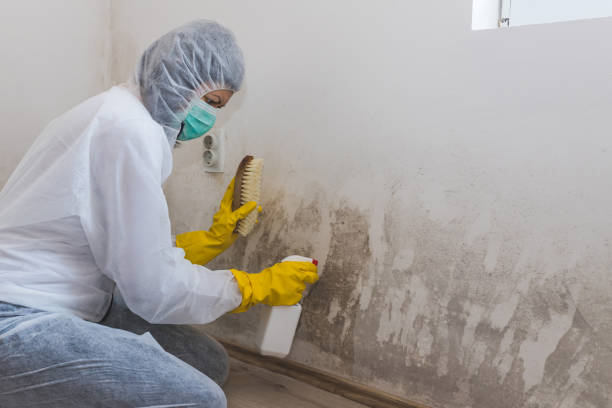 Best Crawl Space Mold Removal  in Many, LA