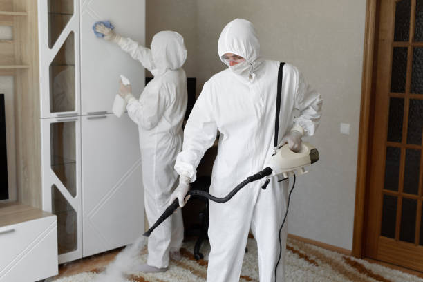 Many, LA Mold Removal Company